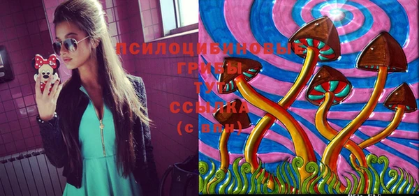 марки lsd Бугульма