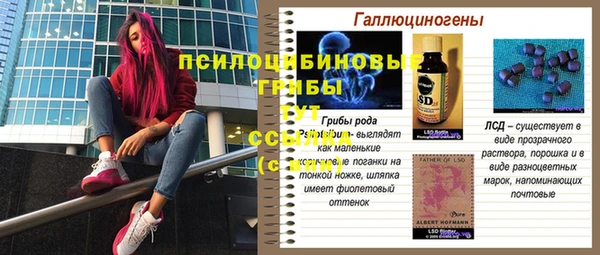 jwh Бородино