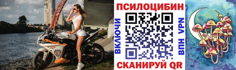 MEGA ССЫЛКА Котлас Галлюциногенные грибы GOLDEN TEACHER